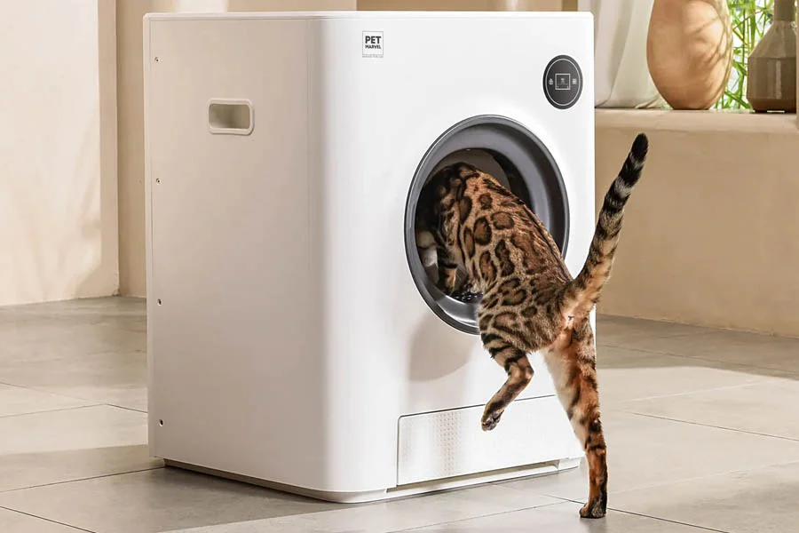 cleaning litter box