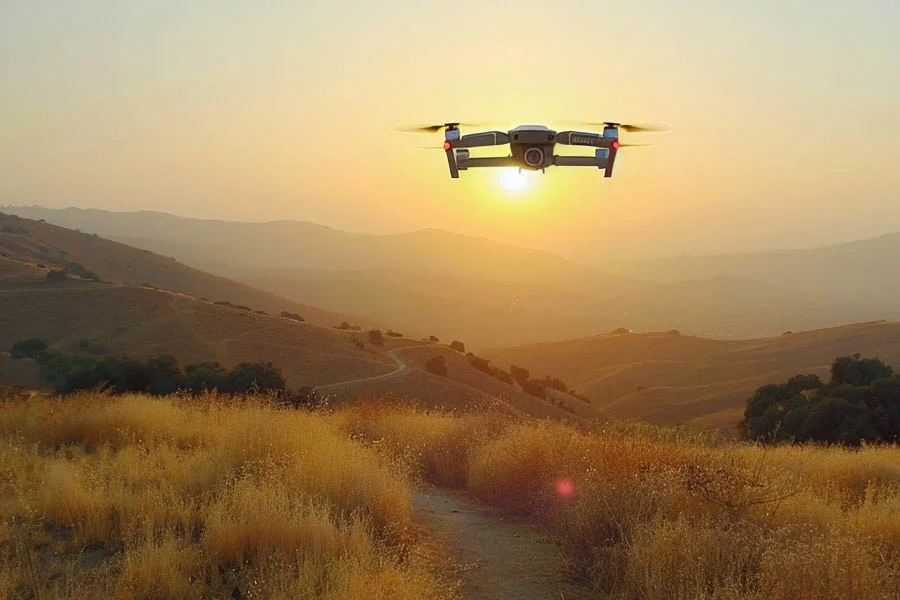 adult drones